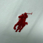 Men's Crew Neck Short‑Sleeve T‑Shirt Minimalist Small Horse Embroidery Casual Top