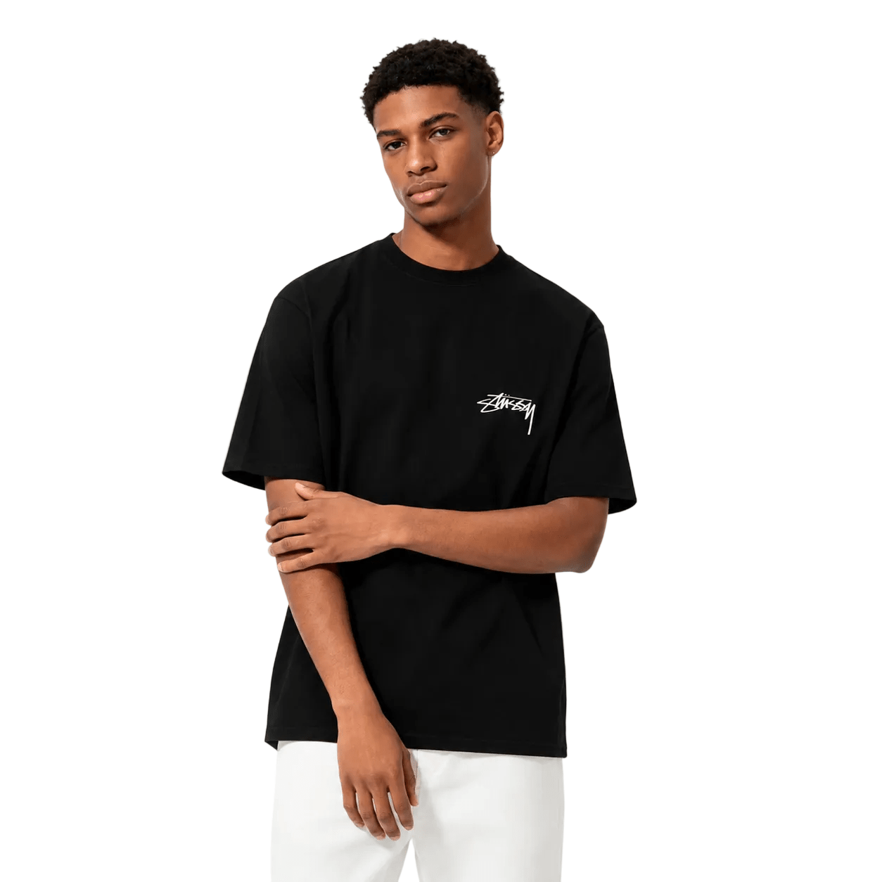 Stussy Arachnid Pigment Dyed Tee Black